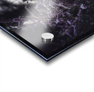 Purple Flowers Acrylic print