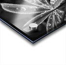 Fuzzy Rain Acrylic print