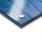 Birds on a wire Acrylic print