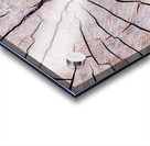 Tree Fingerprint Acrylic print