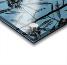 Mimosa Tree Acrylic print