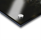 Light Fern Acrylic print