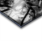 Black and White Reflection Acrylic print