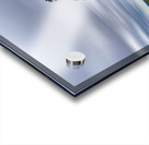 Lone Tree Acrylic print