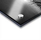 Black and white Texas lake Acrylic print