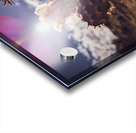 Lens Flare Cactus Acrylic print