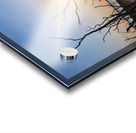 Texas Reflections Acrylic print