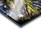 Reflections Acrylic print