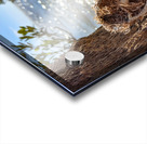 Shell on tree Acrylic print