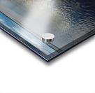 floral river Acrylic print