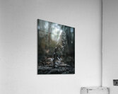 Feather Acrylic Print