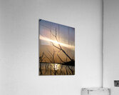 Light on the lake Acrylic Print