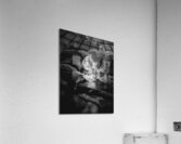 Flower Black and White Acrylic Print