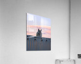 Peekaboo Horse Acrylic Print