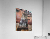 Door Vine Acrylic Print