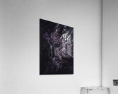 Purple Flowers Acrylic Print