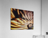 Shadow Work Acrylic Print