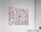 Tree Fingerprint Acrylic Print