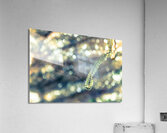 Beautified Slime Acrylic Print