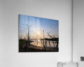 Sunset Lake Acrylic Print