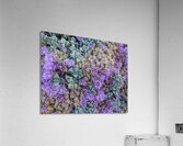 Pastel Plants Acrylic Print