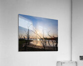 Texas Reflections Acrylic Print