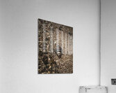 Before the wave Acrylic Print