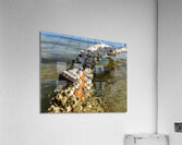 Reclaimed Acrylic Print