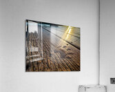 Racoon Paw in Dew Acrylic Print