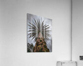 Palm Tree Acrylic Print