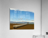 train Acrylic Print