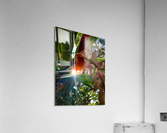 MORNING FLOWER Acrylic Print