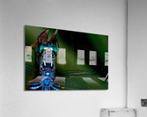 Blue Dragonfly Acrylic Print