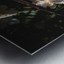 Mock Orange Metal print