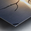 Light on the lake Metal print