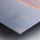 Peekaboo Horse Metal print