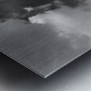 Black Bird on roof Metal print