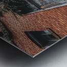 Door Vine Metal print