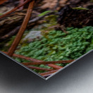 Tiny Mushroom Metal print