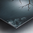 Dead Tree Metal print