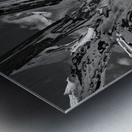 Driftwood Metal print