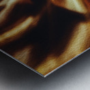 Shadow Work Metal print