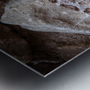 Rattle Snake Metal print