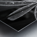 Fuzzy Rain Metal print