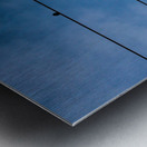 Birds on a wire Metal print