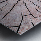 Tree Fingerprint Metal print