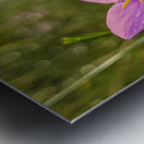 Pink Flower Metal print