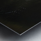 Light Fern Metal print