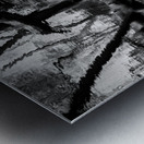 Black and White Reflection Metal print