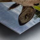 Funny Donkey Metal print